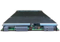 Cisco A99-48X10GE-1G-SE - Router Line Card