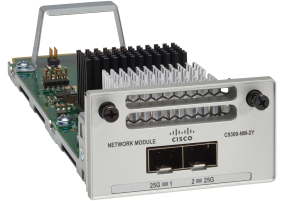 Cisco C9300-NM-2Y= - Network Module