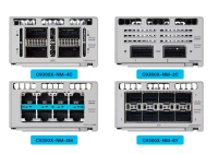 Cisco C9300X-NM-4C - Network Module
