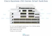 Cisco Small Business CBS250-48P-4X-UK - Network Switch